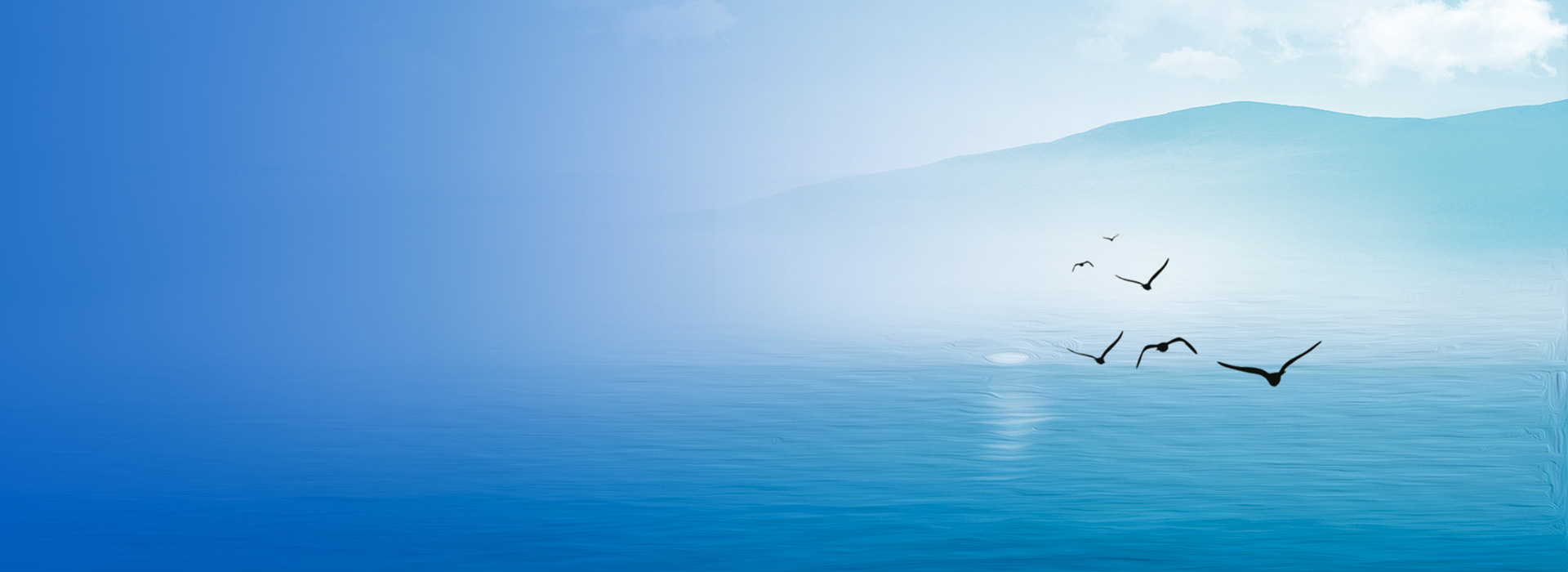 申博太阳城·(中国)官方网站